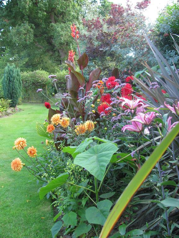 The Corner House Bed and Breakfast Rye Kamer foto