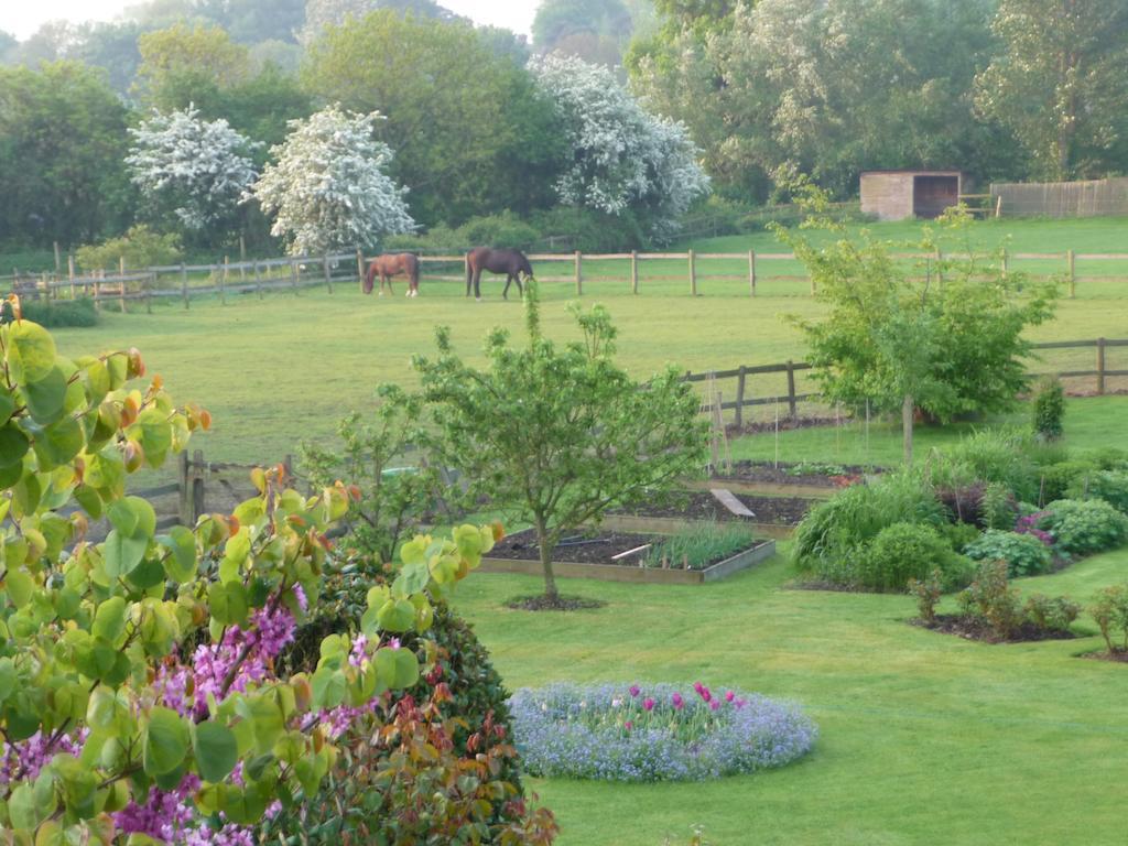 The Corner House Bed and Breakfast Rye Buitenkant foto