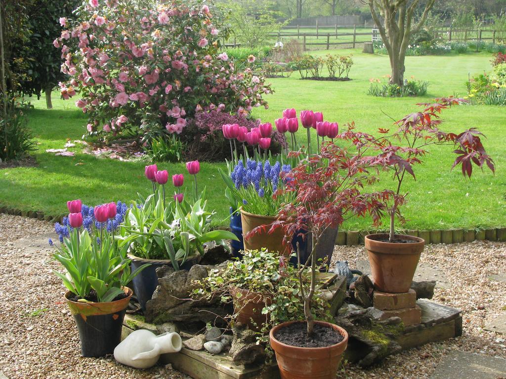 The Corner House Bed and Breakfast Rye Kamer foto