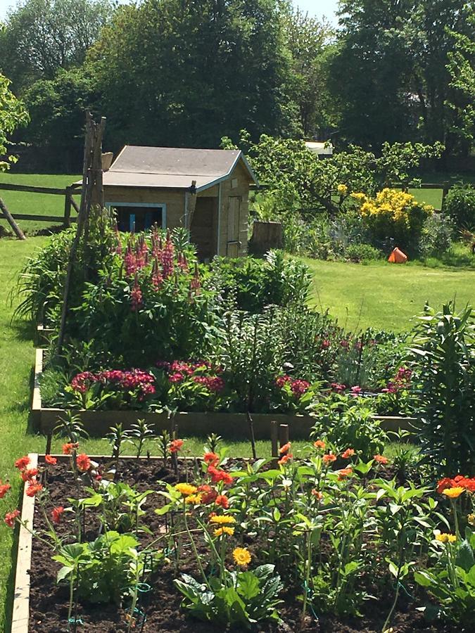 The Corner House Bed and Breakfast Rye Buitenkant foto